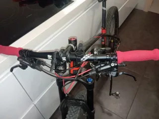 Bicicleta Montaña 29