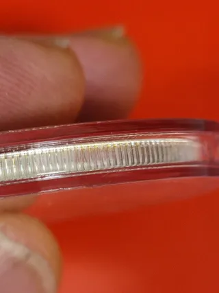 Dos monedas de Plata para Pablo