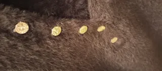 Jersey Morgan marrón manga larga talla M