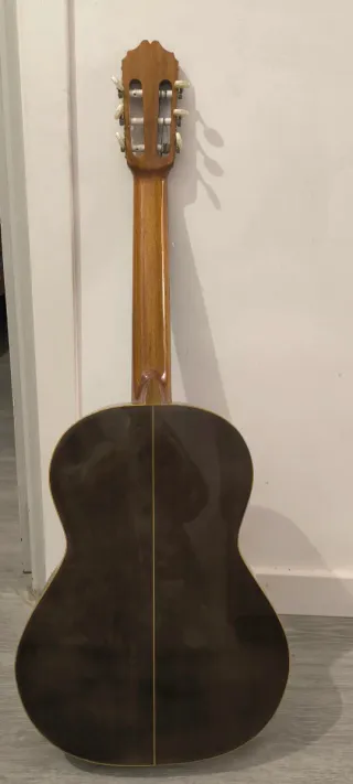 Guitarra Clásica Raimundo 118