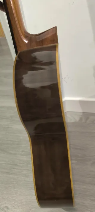 Guitarra Clásica Raimundo 118