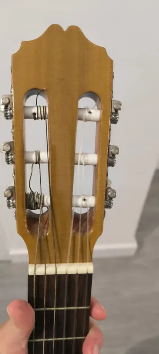 Guitarra Clásica Raimundo 118