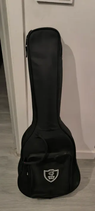 Guitarra Clásica Raimundo 118