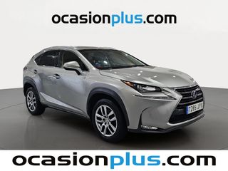 Lexus NX 300h Executive 4WD 145 kW (197 CV)