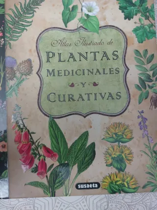 Atlas ilustrado de plantas medicinales y curati...