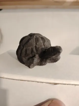 Tartaruga in pietra lavica Etna