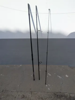 Caña Carpfishing 3 Tramos 13 Pies 3 Libras