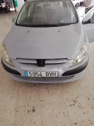 Peugeot 307 2002