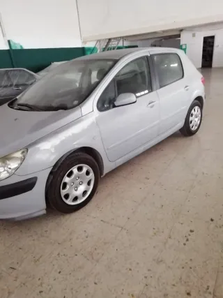 Peugeot 307 2002