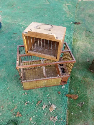 Gabbie in legno per uccelli