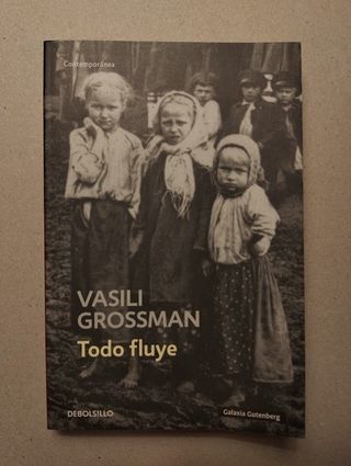 Todo fluye (Spanish Edition)