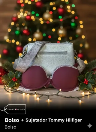 Bolso y Sujetador Tommy Hilfiger
