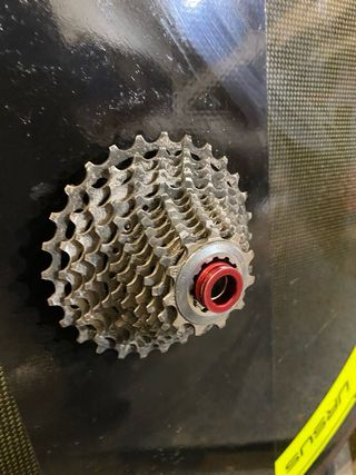 Ursus Gauro Rueda Lenticular