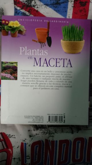Plantas en maceta