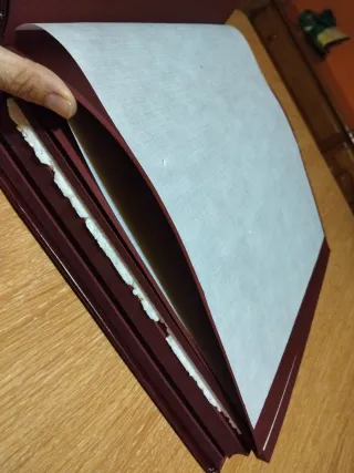 Álbum de fotos profesional