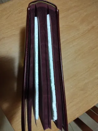 Álbum de fotos profesional