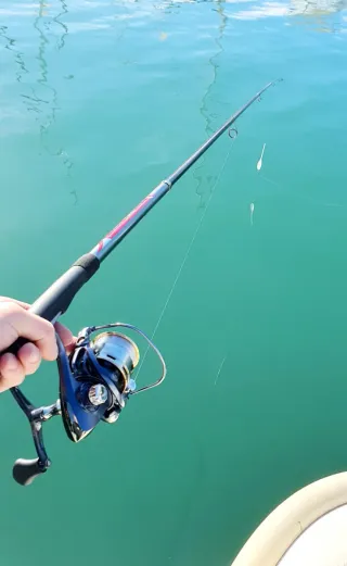 Equipo Spinning, Equipo Pesca, Caña, Carrete pesca