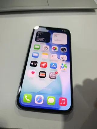 iPhone 13 Pro Plata/Gris Espacial