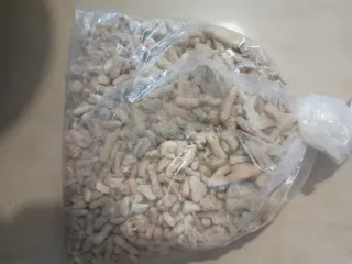 Reactor de Calcio TMC 1000