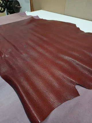 Cuero grabado tejus burdeos