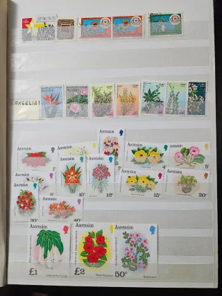 Álbum de sellos de África