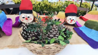 Tió de Nadal busca família