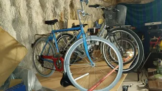 Bicicletas de paseo con cesta