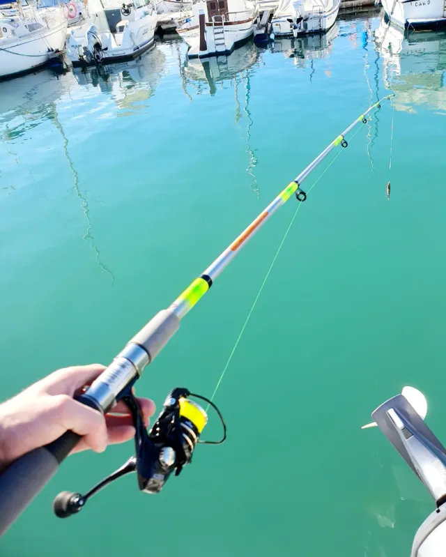 Equipo de pesca EVIA, Equipo Spinning, Caña pesca