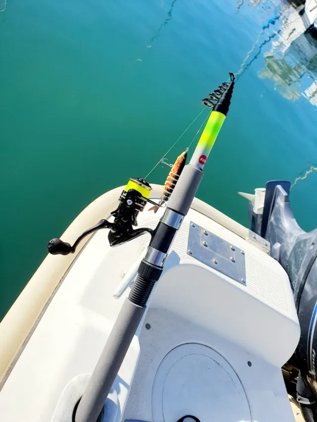 Equipo de pesca EVIA, Equipo Spinning, Caña pesca