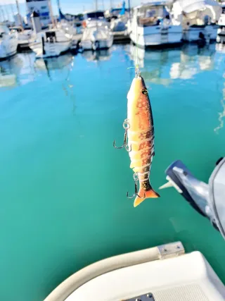 Equipo de pesca EVIA, Equipo Spinning, Caña pesca