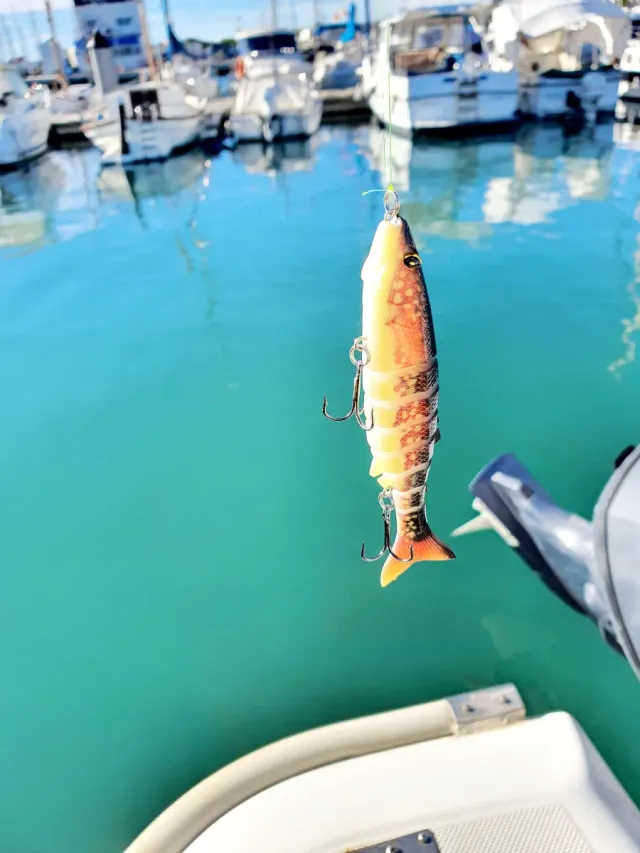 Equipo de pesca EVIA, Equipo Spinning, Caña pesca