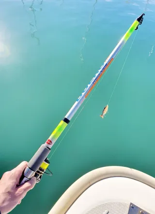 Equipo de pesca EVIA, Equipo Spinning, Caña pesca