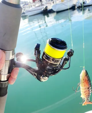 Equipo de pesca EVIA, Equipo Spinning, Caña pesca