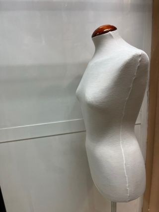 Maniquí profesional adulta/o.