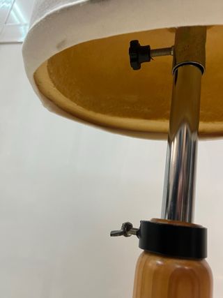 Maniquí profesional adulta/o.