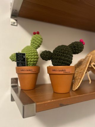 Adorno Cactus Tejido Maceta Terracota