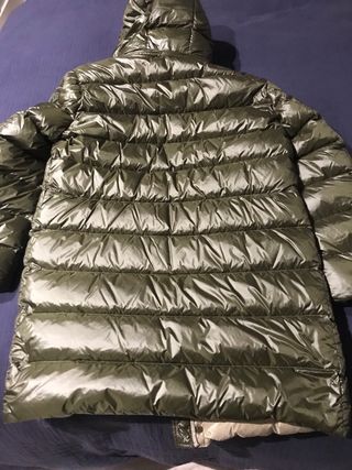 Plumifero Blauer Verde Nuevo