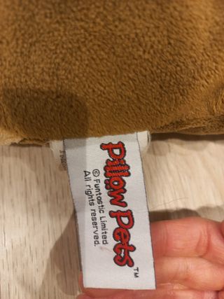 Cojín Chase Patrulla Canina