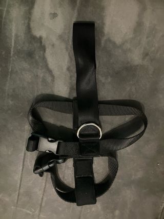 Arnés TKPET para Coche Talla S