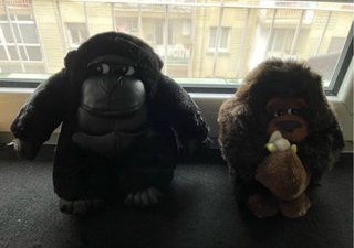 11 Peluches nuevos preciosos. Desde 3€.
