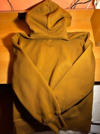 Felpa Carhartt con cappuccio Hamilton Brown