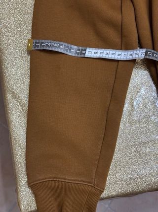 Felpa Carhartt con cappuccio Hamilton Brown