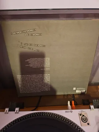 Vinilo Sizequeen I Am Ready