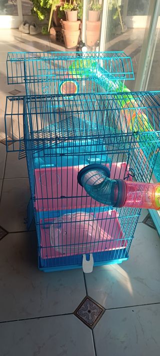 Jaula Hámster Grande con Túneles y Bola