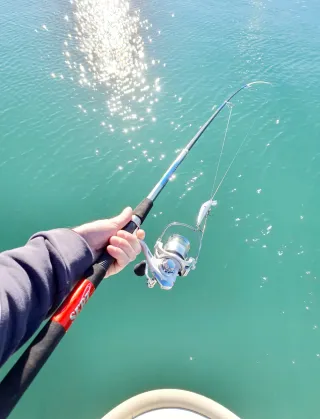 Equipo de pesca Spinning, Equipo Fondeo, Caña Pesc