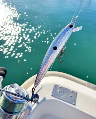 Equipo de pesca Spinning, Equipo Fondeo, Caña Pesc