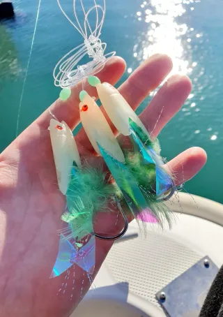 Equipo de pesca Spinning, Equipo Fondeo, Caña Pesc