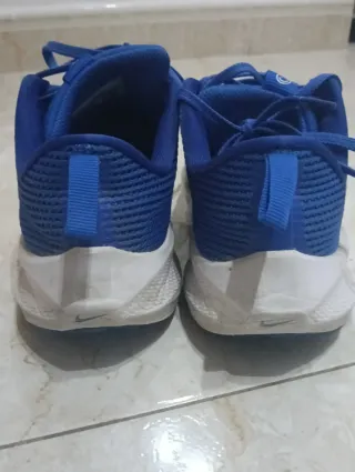 Zapatillas Nike Pegasus 40 Azul