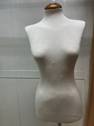 Maniquí profesional adulta/o