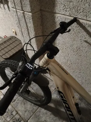 Giant Reign E Bicicleta Eléctrica